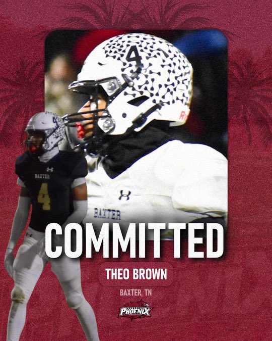 Theo Brown tweet media