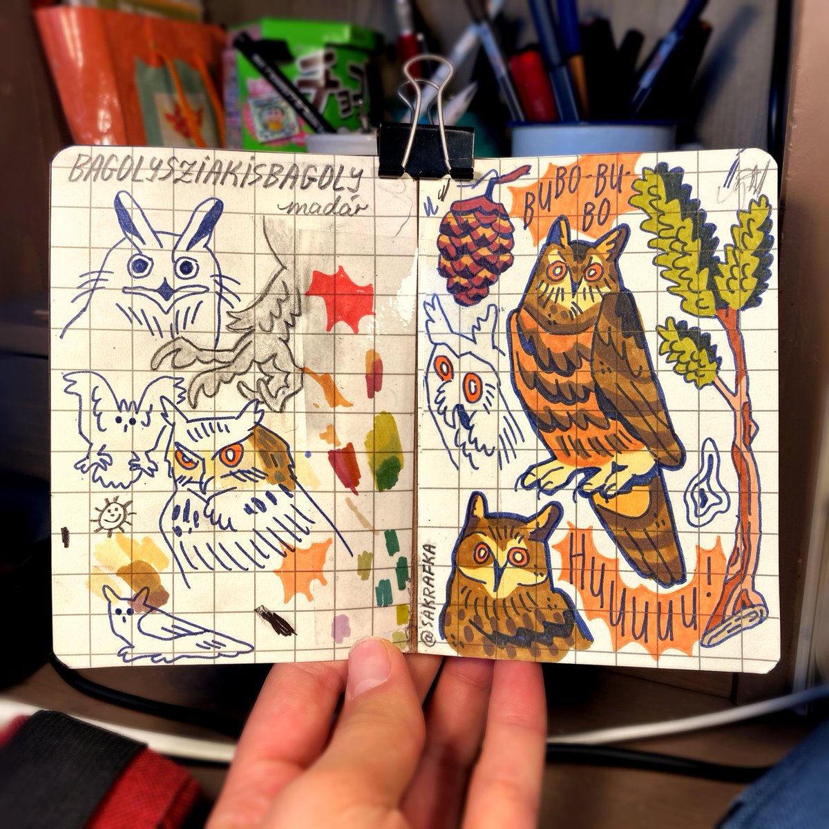 sketchbook page of Eurasian eagle-owl