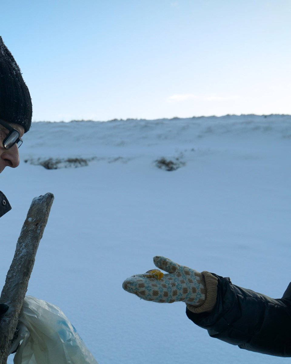 🌊 Cleaning up for Science! ❄️
We joined the Stefansson Arctic Institute for a beach cleanup, collecting plastic for research at the ICEBERG General Assembly
🔬 This plastic will help scientists study marine litter in the Arctic and drive new solutions for sustainability. 🌍