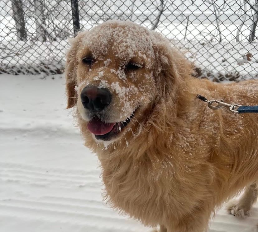 Bailey Warren tweet media