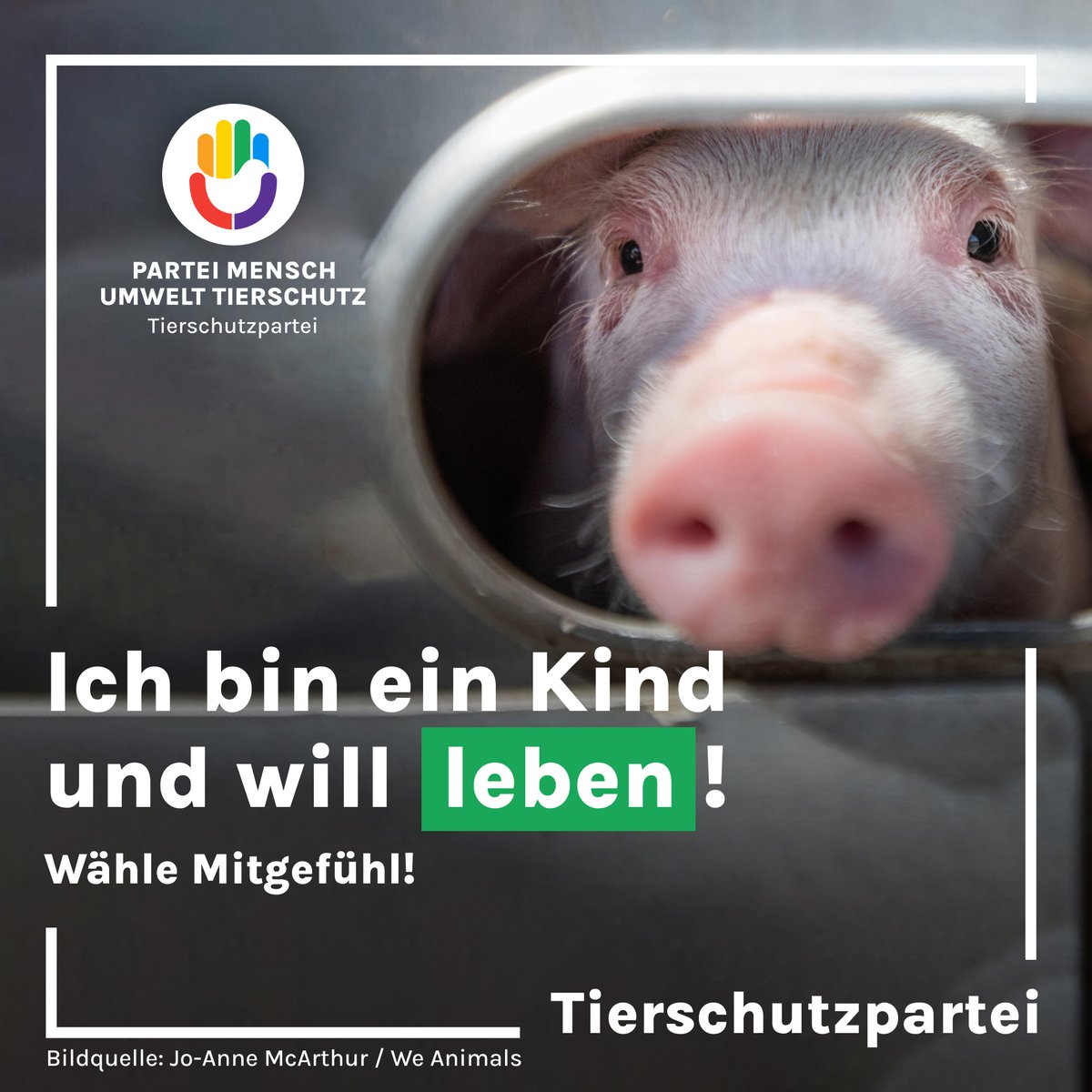 Ihr Leben ist mehr wert als eine Mahlzeit!

Gib den Stimmlosen deine Stimme und wähle Mitgefühl! 💚
