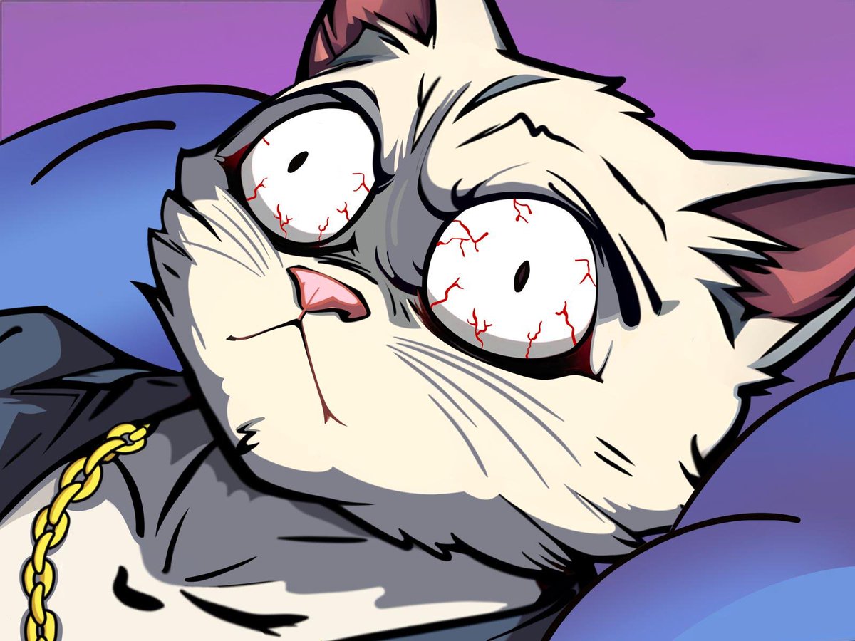 LMEOW tweet media