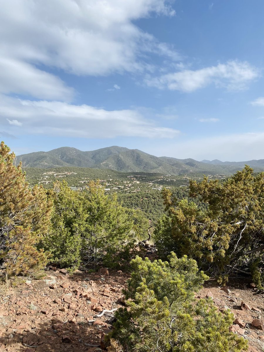 isabella 🍒 tweet media