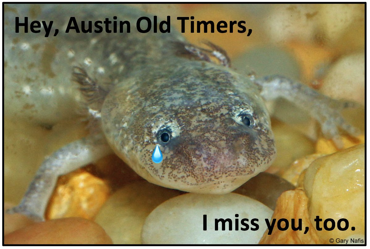 deareanes's tweet photo. @Texgirl10GRD @DocumentingATX https://t.co/7Eu0cspDv3