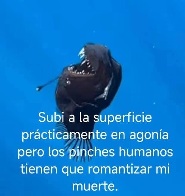 Memes Universidad Nacional (@nacional_memes) on Twitter photo 