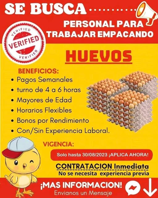 SE BUSCA personal para una empacadora de huevos, no se requiere experiencia. Postulen aquí👉 cutt.ly/Ze8VwC4M