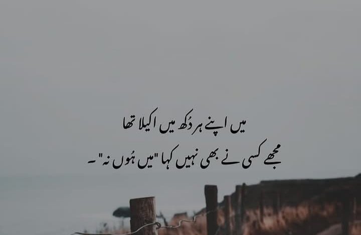 Saba Arif (@sabaari38079298) on Twitter photo 