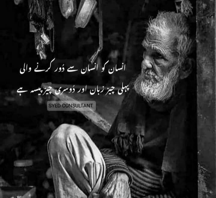 Saba Arif (@sabaari38079298) on Twitter photo 