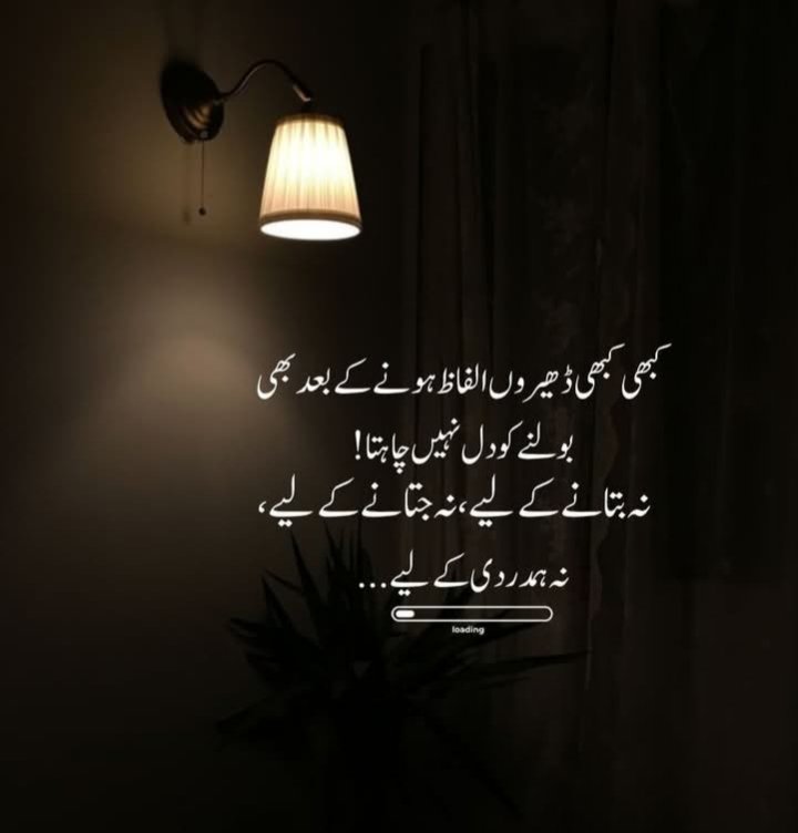 Saba Arif (@sabaari38079298) on Twitter photo 