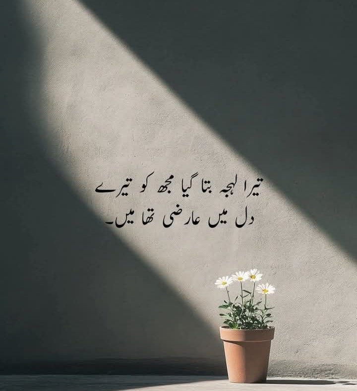 Saba Arif (@sabaari38079298) on Twitter photo 