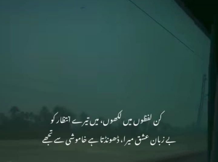 Saba Arif (@sabaari38079298) on Twitter photo 