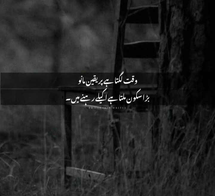 Saba Arif (@sabaari38079298) on Twitter photo 