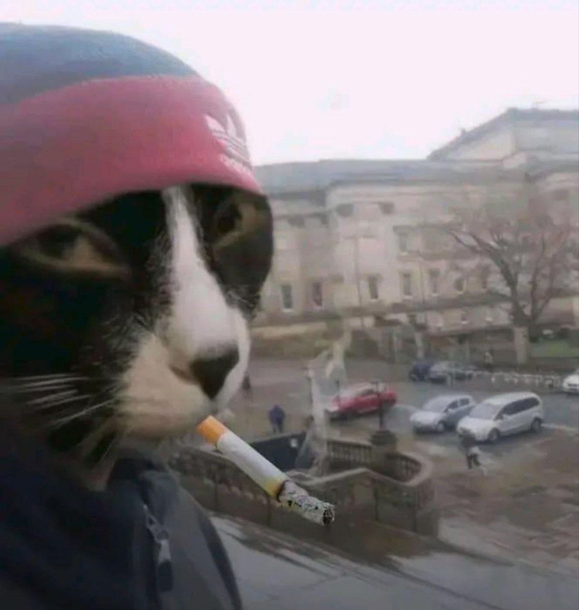 Este tio es MAJO, pero te despiertas un lunes tranquilo y tienes una petición de bizum de 2 euros porque te dio una cocacola en su casa.