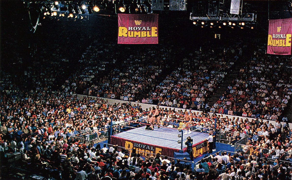 Wrestling Bios tweet media