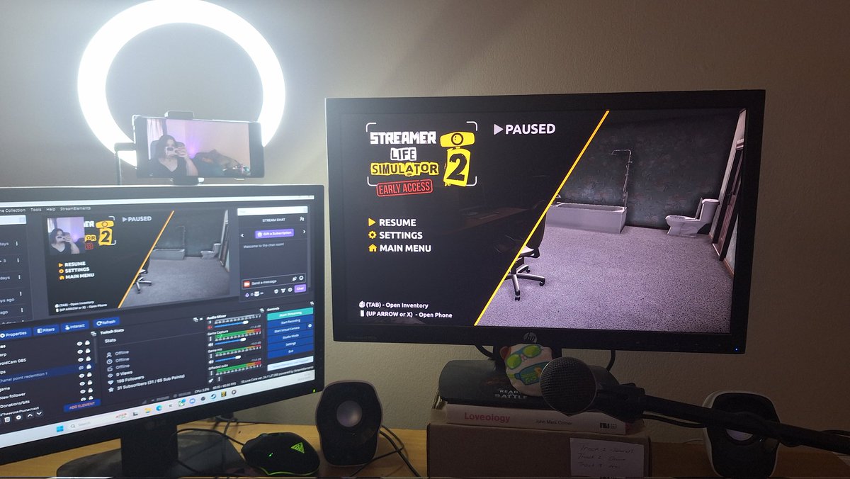 average_jane's tweet photo. Just an average streamer playing a game about streaming. Have you tried this game yet? #gamer #streamer ##streamerlifesimulator2 https://t.co/iVkR3OFWvZ