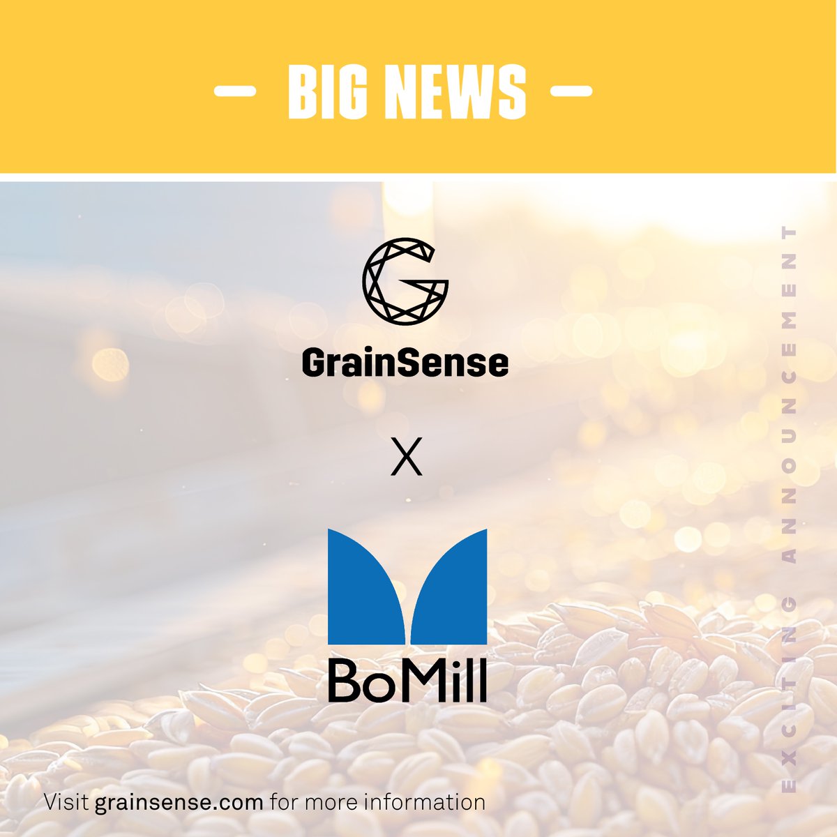 GrainSense and BoMill are joining forces to advance grain quality analysis and sorting technology! ⚡️

Learn more: grainsense.com/blogs/news/gra…