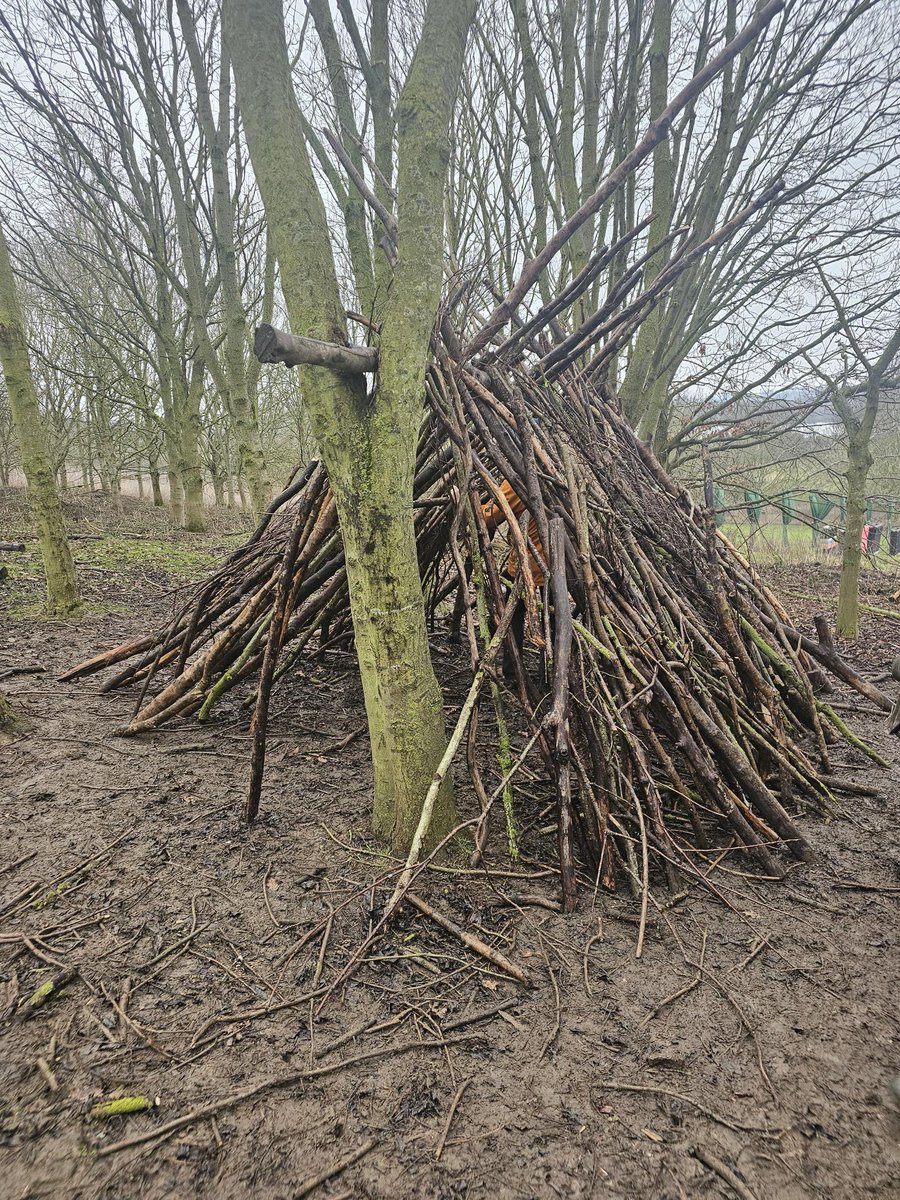 year3ijs tweet media