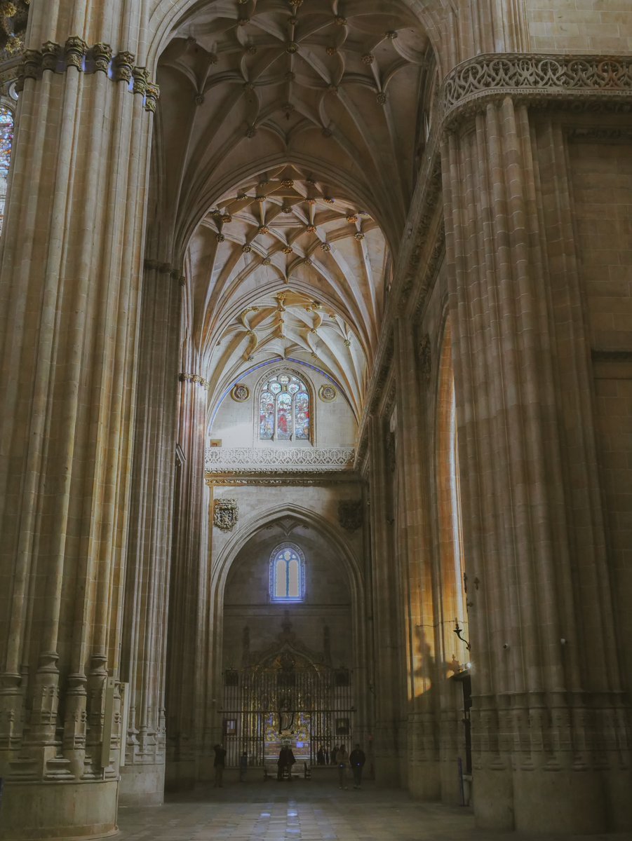 La Catedral nueva de Salamanca me da vibras de chico con arete, o sea, gusta a cualquiera