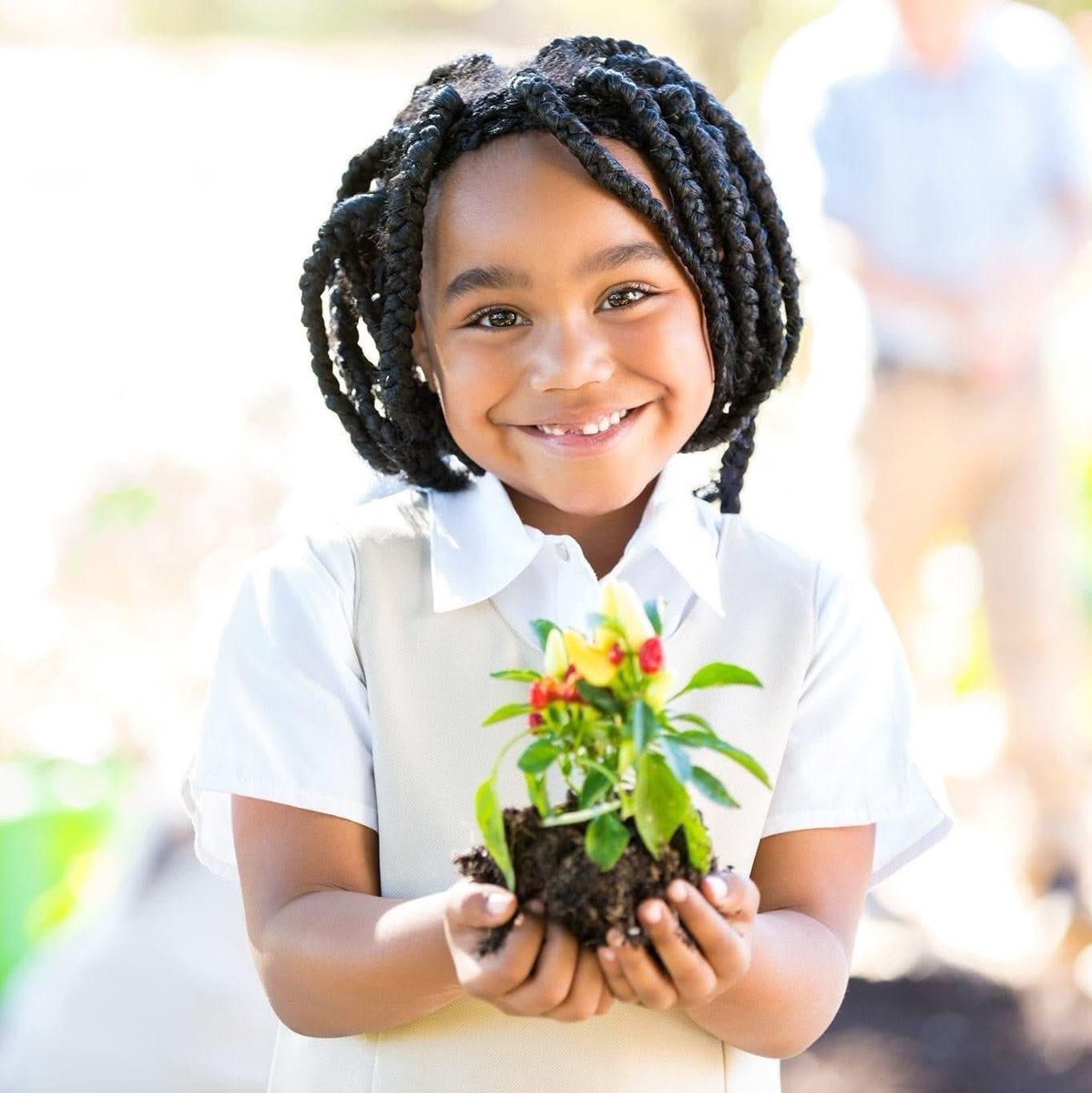 Education
Food Security
The Arts and Music
Poverty Alleviation
GBV Prevention &amp; Response

The Viva Foundation of South Africa is a compliant and responsible CSI partner. 

Please don’t hesitate to reach out at info@vivafoundation.life