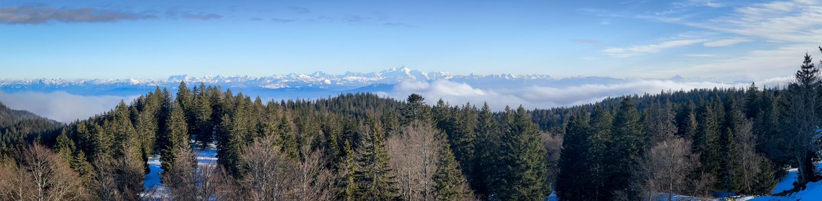 Panoramic view of the Alps, as seen from the Jura mountains in France. Shot on my phone yesterday afternoon while cross-country skiing.