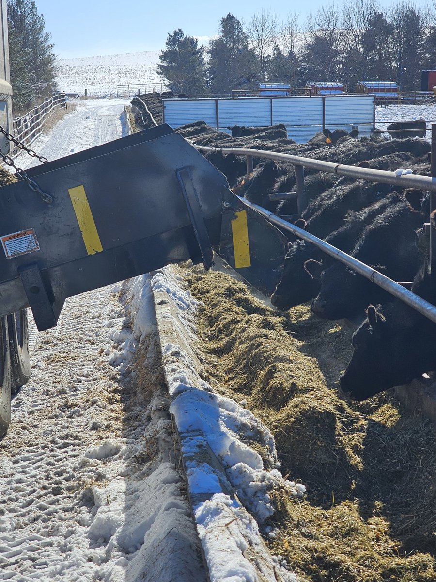 Something other than politics