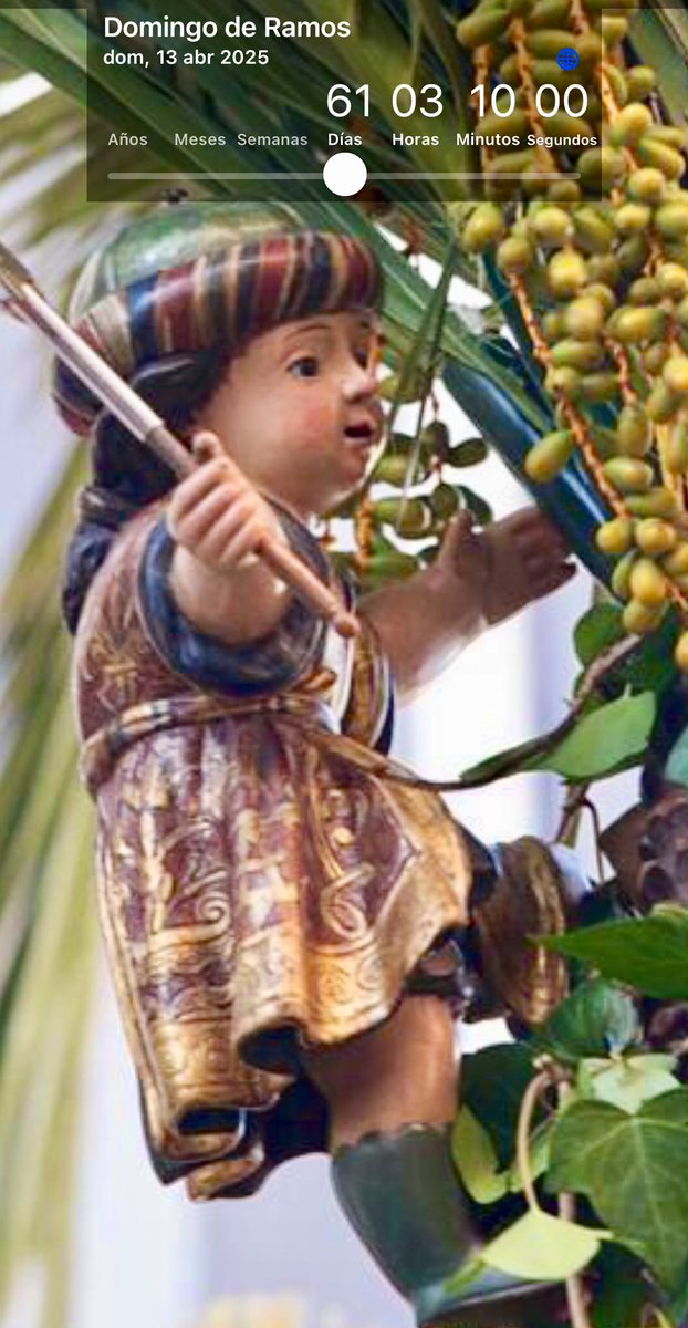 Cuenta atrás. 

Domingo de Ramos: 61 días, 3 horas, 10 minutos. 

#TDSCofrade