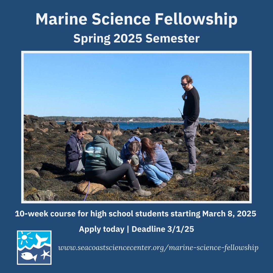 SeacoastSciCtr's tweet image. Our Marine Science Fellowship spring semester begins on 3/8/25. This program offers #highschoolstudents interested in the marine sciences, a chance to learn in the field, meet experts &amp;amp; conduct their own research. Deadline to apply is 3/1. More info: seacoastsciencecenter.org/marine-science…