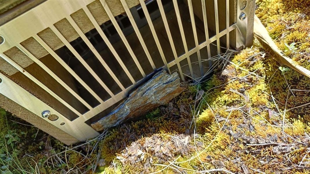 Native species compromised by trap vandals.

More than 150 remote predator traps set to protect native species in Mt Aspiring National Park have been systematically tampered with.

Find out more: bit.ly/4hwhhMI