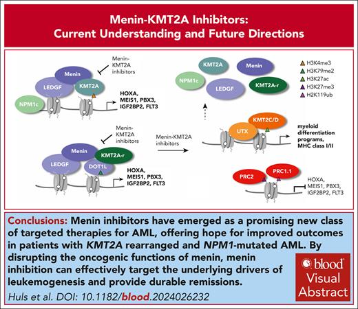Menin inhibitors in the treatment of acute myeloid leukemia
ow.ly/QQcY50UVnwL #bloodspotlight #myeloidneoplasia
