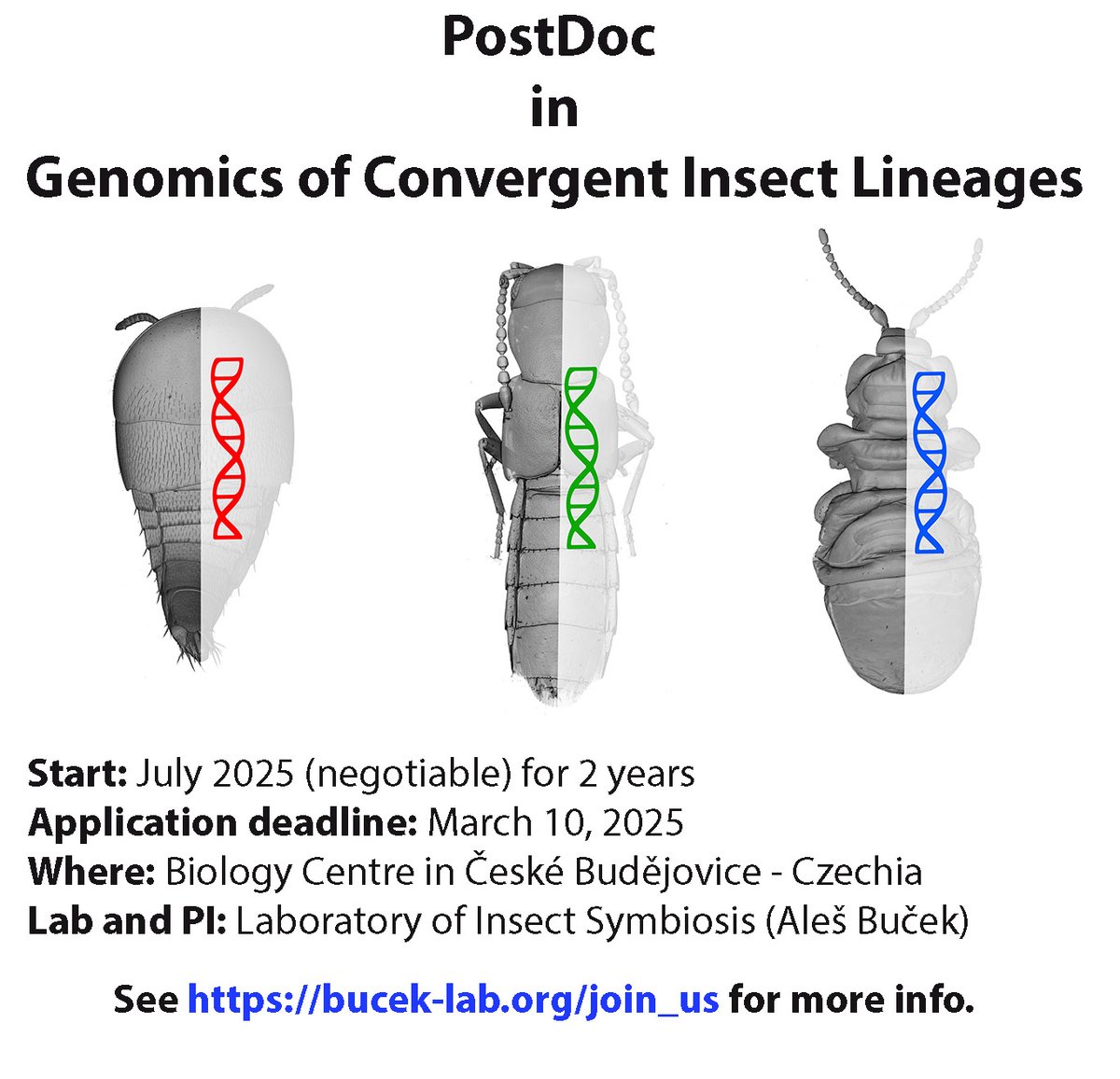 We are looking for a PostDoc with background in (insect) genomics for our Insect Symbiosis Lab in České Budějovice!
