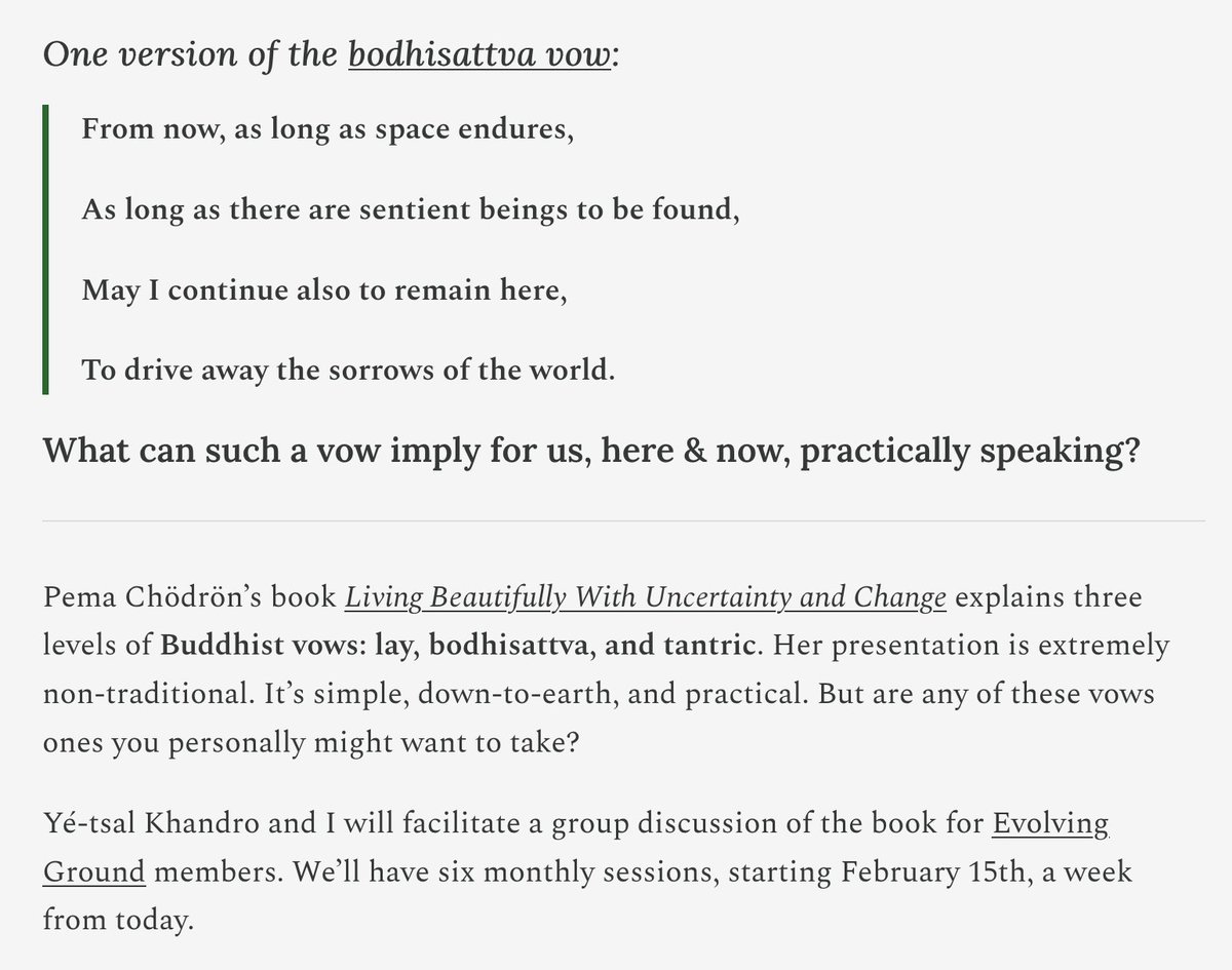 I’m co-facilitating an online Evolving Ground discussion of three level of Buddhist vows for paying members, starting this coming Saturday. We’ll be doing the lay vows first, then the bodhisattva and tantric vows. meaningness.substack.com/p/questioning-…