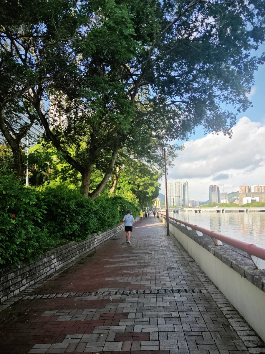 🌿🏃‍♀️ 川沿いをランニング💨✨
仕事に追われる日々、自分の時間はほんのわずか⌛
たまに走るこのひとときは、まるでこっそり手に入れた貴重な1時間⏳🎐
