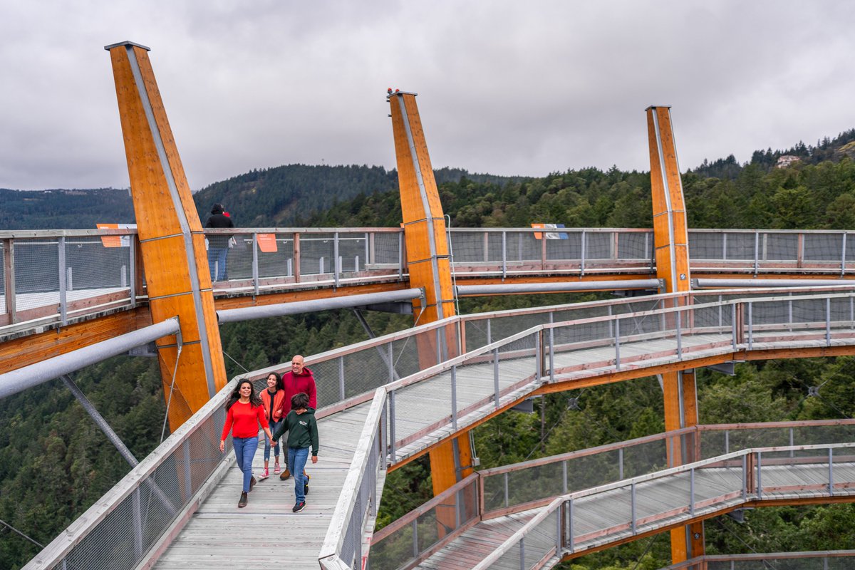 This Family Day weekend (February 14th - 17th) The <a href="/MalahatSkywalk/">Malahat SkyWalk</a>  is offering 50% off single admission tickets!

Make Family Day unforgettable at Malahat Skywalk! It’s fun, it’s nature, and yes, there’s a slide! 😎

Buy your tickets here: bit.ly/3CGoWsT