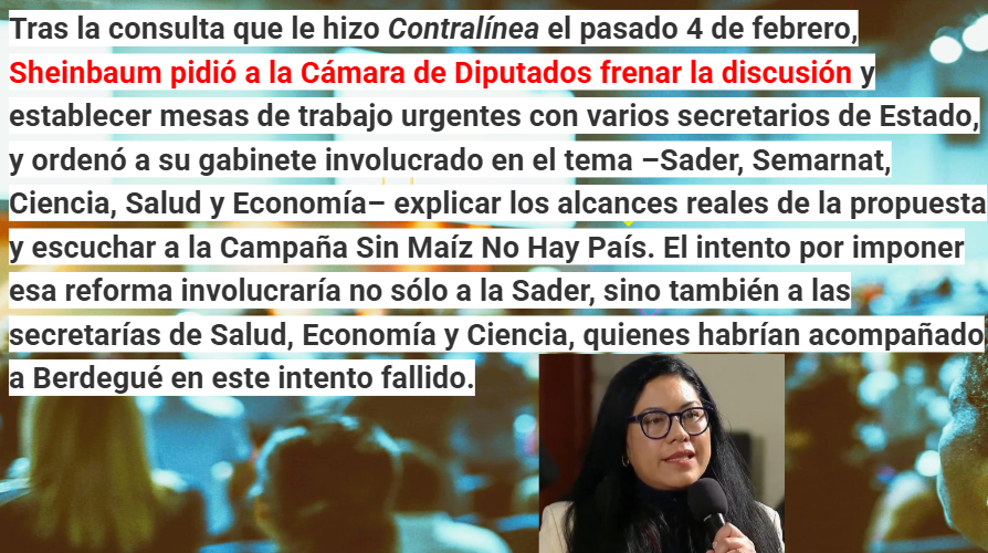 DnielleCabrera's tweet photo. CHAYOTEROS SIGUEN INTENTANDO DIVIDIR Y MANIPULAR.
#JuanOrtiz quiso dar a entender que #Monreal estaba en contra de #Claudia posponiendo la revisión de la reforma al maiz transgénico y es #Claudia quien la pospone por información muy valiosa de #contralinea https://t.co/BZ4RKhgNjj