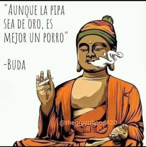 Ana R. Quista Ⓐ🏴 (xHx)🎈 (@vivalanarquia) on Twitter photo 