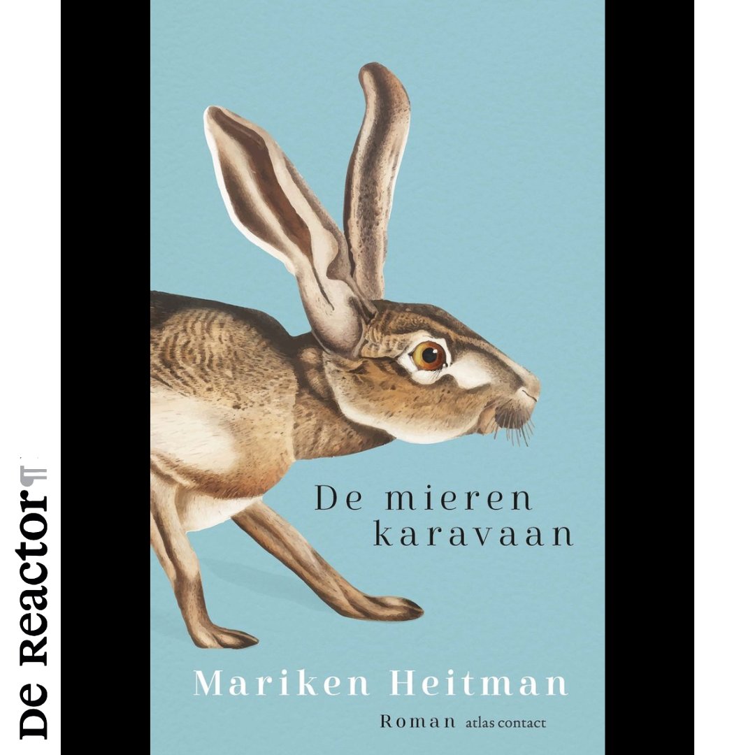 De Reactor tweet media