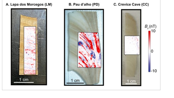 RedMagIber tweet media