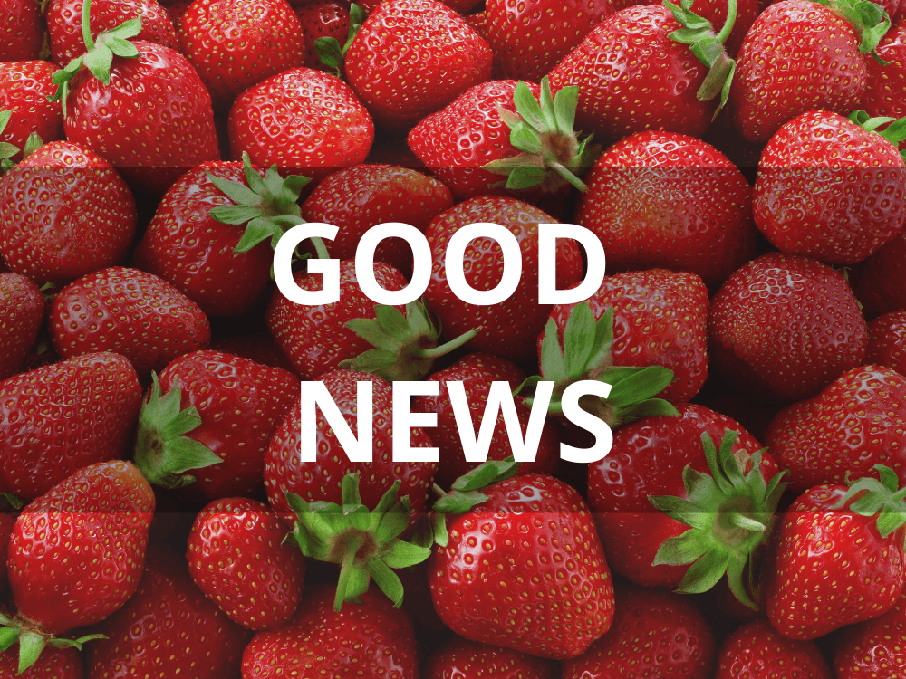 We’re just over a month into 2025, and already we’ve noticed some bright spots for reducing wasted food that we wanted to take time to highlight. Our latest blog shares five examples: refed.org/articles/five-…