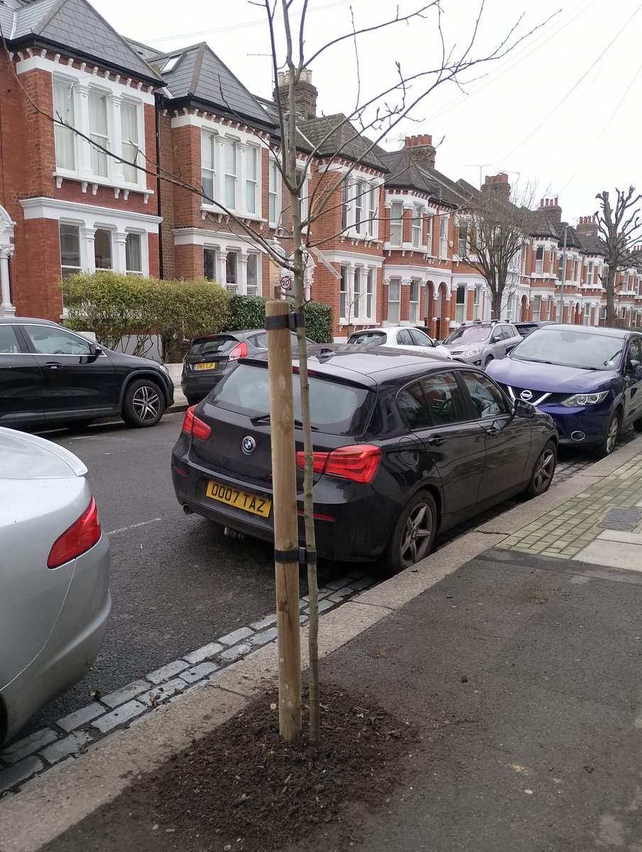 This morning - a space where the old tree was - this afternoon a tree! Great to see new planting on our streets!