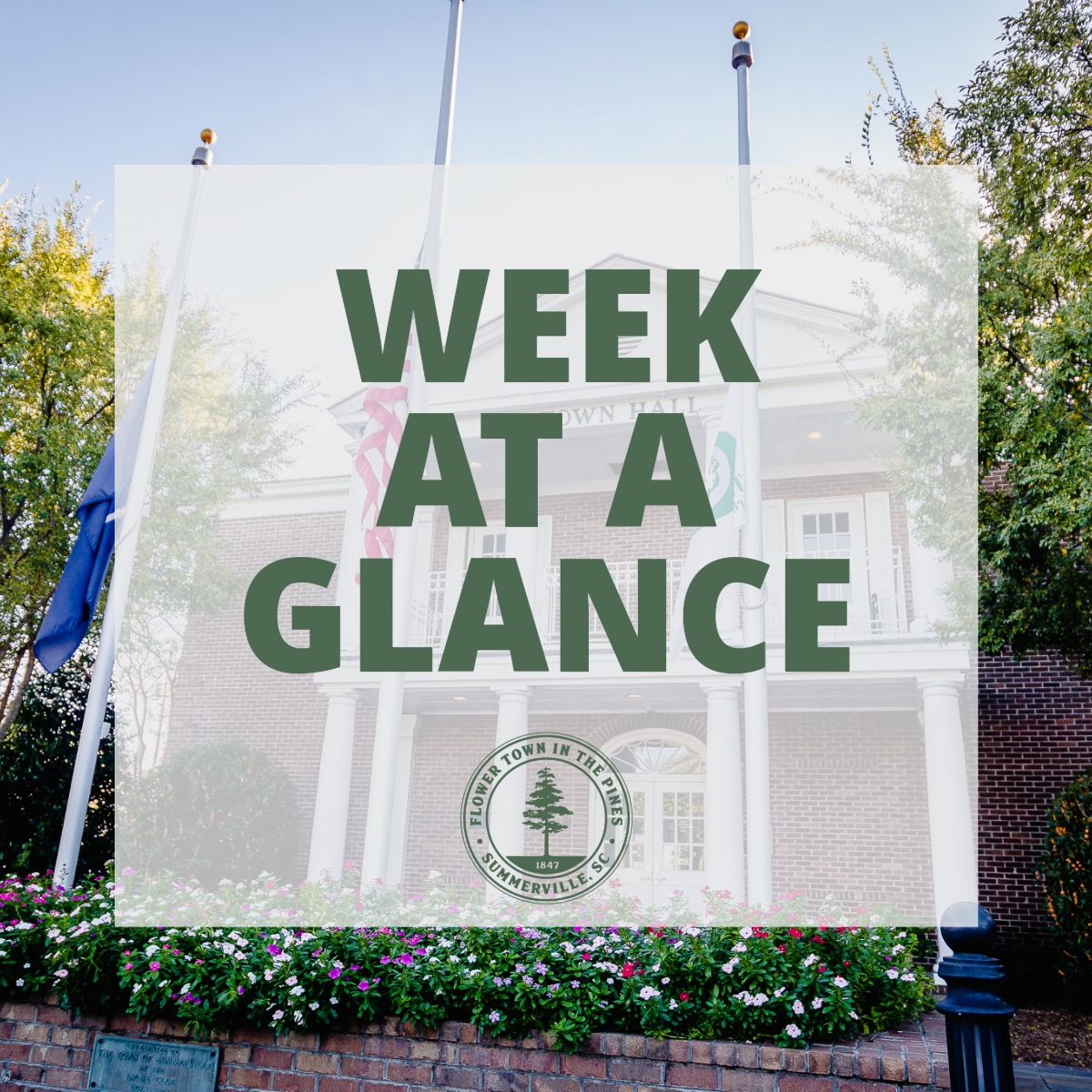 This week in Summerville:

📅 Mon, Feb 10

5:30 p.m. | Standing Committee Meeting
7 p.m. | Special Council Meeting
📅 Tue, Feb 11

5 p.m. | Board of Zoning Appeals
📅 Wed, Feb 13

6 p.m. | Town Council Meeting
📅 Sat, Feb 15

11 a.m. – 6 p.m. | Summerville Book Festival