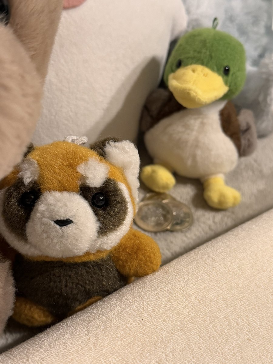 gogo_hammer's tweet photo. ハンマーのへそくり、
１枚から3枚にふえてるﾊﾏ！

( ╹ (ᴥ)╹)✨ https://t.co/vYhUaKcYUH
