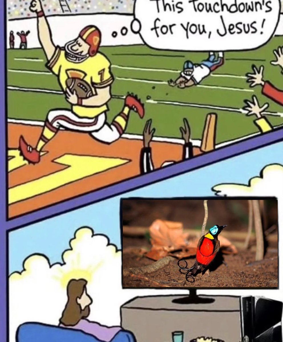 Steven 🇮🇩 🇺🇸 🍉(neontetraploid on IG) (@neontetraploid) on Twitter photo 