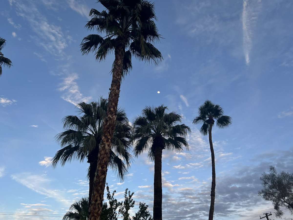 paullarosa's tweet photo. Such a rush
The moon rises much too soon
For the dwindling sun
#haikuchallenge #noprompt #haiku https://t.co/T0tiBYmyNu