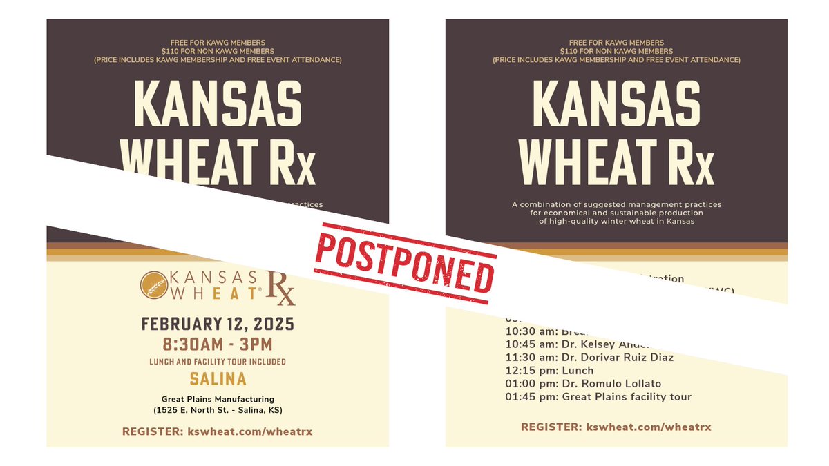 KansasWheat (@kansaswheat) on Twitter photo 🚨 Wheat Rx Update 🚨
Due to the incoming winter storm, the Wheat Rx seminar in Salina on Feb. 12 is canceled. A reschedule date will be announced soon. Stay safe, and we’ll see you soon! 🌾❄️
<a href="/KSUWheat/">Romulo Lollato</a> 
#WheatRx #KansasAg #WinterResilience #KStateAg 🚨 Wheat Rx Update 🚨
Due to the incoming winter storm, the Wheat Rx seminar in Salina on Feb. 12 is canceled. A reschedule date will be announced soon. Stay safe, and we’ll see you soon! 🌾❄️
<a href="/KSUWheat/">Romulo Lollato</a> 
#WheatRx #KansasAg #WinterResilience #KStateAg