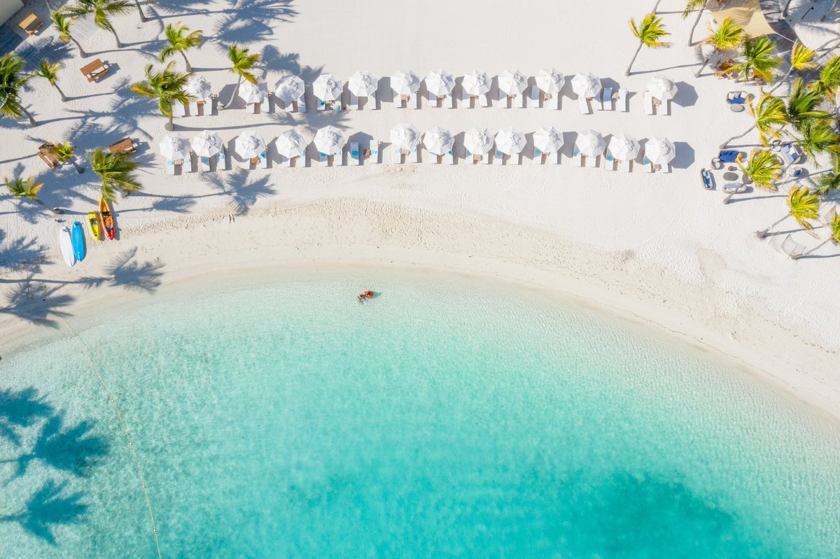 Turks and Caicos Collection tweet media