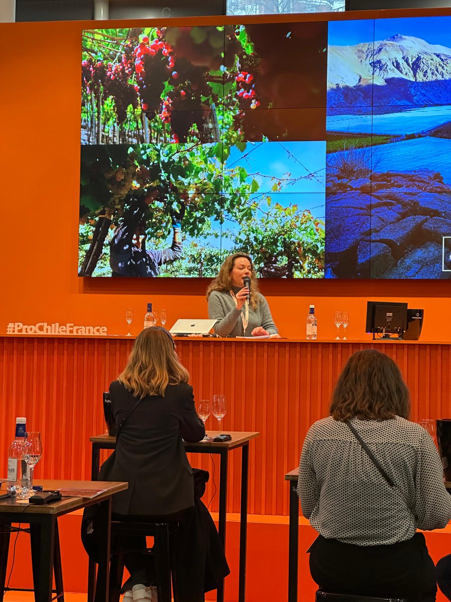 Chile presente en la Wine París &amp; #Vinexpo 2025 🇨🇱 🥂

Entre los días 10 y 12 de febrero se está desarrollando esta importante feria en la capital de Francia, donde participan variadas viñas y pisqueras nacionales y ProChile se hace presente con un stand de 18m² 🍸