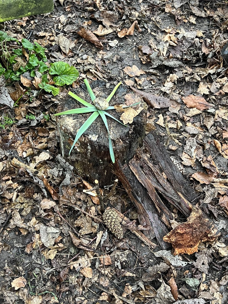 Emneth Academy (@emnethacademy) on Twitter photo Our Y1 children really enjoyed their forest school session today. The children received a letter from the forest fairies asking for fairy houses to be made. They were defo up for the challenge. Some of the newly created fairy houses were even visited by the fairies! <a href="/EMAT_Edu/">Eastern Multi-Academy Trust</a> Our Y1 children really enjoyed their forest school session today. The children received a letter from the forest fairies asking for fairy houses to be made. They were defo up for the challenge. Some of the newly created fairy houses were even visited by the fairies! <a href="/EMAT_Edu/">Eastern Multi-Academy Trust</a>