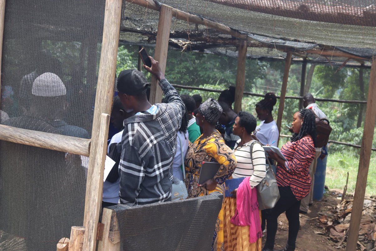 2/2

From farming techniques to value addition &amp; agribusiness, they gained hands-on skills to turn agriculture into a sustainable livelihood.

#YoungAfricaWorks
#ItsPossible
#YoungAfricaWorks@5