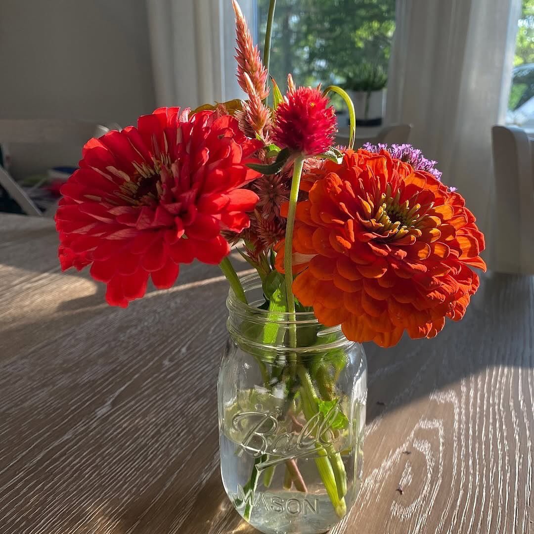 Love and flowers go hand in hand … flowers are an integral part of language of love :) 

Soft sunlight falling on the flowers, creating a beautiful shadow pattern .. is a language of love. 

What’s your language of love? 
-@studiobotanicalsbhag

#hoovufinds