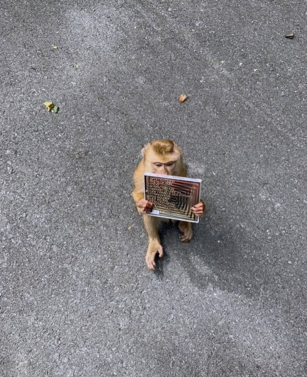 y2k2006 (@lindsayslung) on Twitter photo 